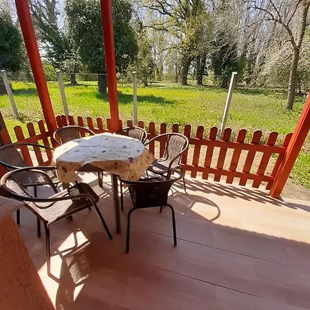 Narcisz Apartment